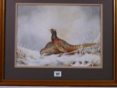 C HUGHES watercolour - a pair of pheasants in a snowy setting, signed, 26.5 x 36.5 cms