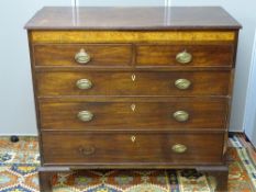A GEORGIAN MAHOGANY CHEST OF TWO SHORT OVER THREE LONG DRAWERS below a burr walnut frieze, the