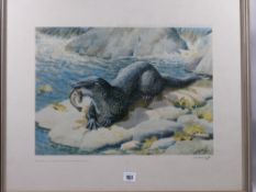 CHARLES FREDERICK TUNNICLIFFE coloured limited edition (233/500) print - otter with catch on a rock,