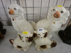 Two pairs of white pottery Staffs comforter dogs