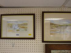 Pair of local watercolours, indistinctly signed