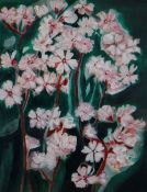 SHEILA KNAPP-FISHER mixed media - still life of flowers, entitled verso 'Red Campion', signed, 35