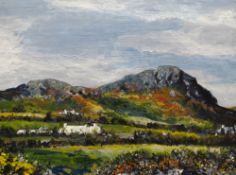 JOHN ROOSE EVANS oil on canvas - cottages in West Wales landscape, entitled verso 'Pembrokeshire