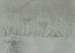 IVOR DAVIES pencil sketch - head in the foreground and trees beyond, signed and dated 2012, 15 x