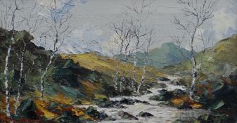 CHARLES WYATT WARREN oil on board - River Llugwy with silver birches, signed in full, 18 x 33 cms (