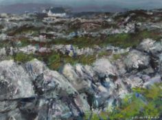 MARTIN COLLINS mixed media (believed) on board - Irish landscape with distant white washed