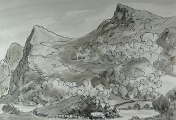 SIR KYFFIN WILLIAMS RA inkwash - mountainous landscape with trees, entitled verso on Albany