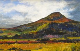JOHN ROOSE EVANS acrylic on canvas - Sugar Loaf mountain, Abergavenny, signed, 51 x 76cms (framed