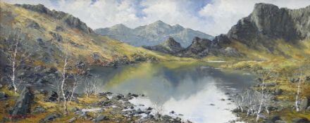 CHARLES WYATT WARREN oil on board - expansive Snowdonia lake scene with silver birches and Snowdon