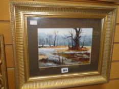 JENNY MAHONY acrylic - woodland scene, unsigned, 17 x 24cms Condition reports provided on request by