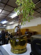 Brass helmet shaped coal scuttle with contents of small shrub in a plant pot