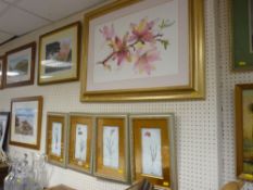 Set of four identically framed botanical prints, 23 x 11 cms and a large print of pink blossom,