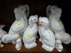 Three pairs of Staffs dogs, various ages and sizes