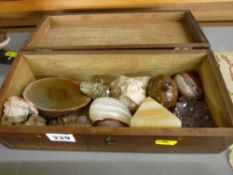 Wooden hinged box with quantity of mineral stone and eggs