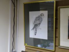 A WYN HUGHES pencil sketch - title label and dated verso 1974, 'Merlin' signed 'Arfor', 33 x 25 cms