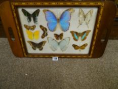 Inlaid tray with butterfly decoration