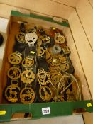 Box of horse brasses on leather straps, stirrups etc