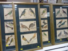Four framed etchings, each depicting a trio of images featuring exotic birds and butterflies