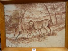 Pen and ink drawing - fighting stags, initialled 'J F', 38 x 51 cms