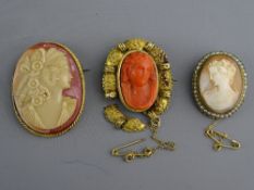 A VICTORIAN CARVED CORAL & PINCHBECK CAMEO, a shell carved cameo and one other (various sizes and