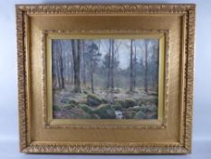 JAMES T WATTS oil on board - fine woodland study with two sheep and lichen covered rocks, signed and