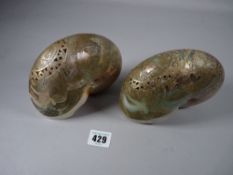 A PAIR OF 19th CENTURY CARVED NAUTILUS SHELLS having exposed mother of pearl, pierced edge