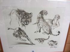 WILLIAM TIMYN print - entitled 'Cheetahs' for the WWF, signed, 51 x 63 cms including mount