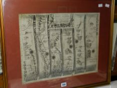 JOHN OGILBY map - The Continuation of the Road from St David's to Holywell, framed and glazed