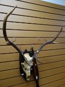 A pair of native carved spears and a mounted deer skull with antlers Condition reports provided on