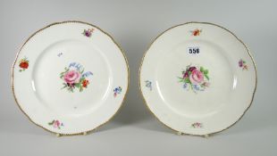 A pair of Nantgarw porcelain plates painted with a central spray of flowers and four sprigs to the