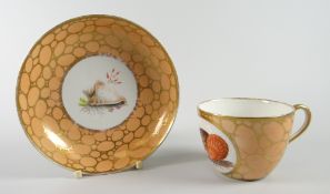 An early nineteenth century Coalport cup & saucer painted with studies of shells to each component