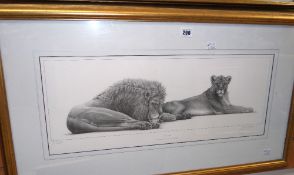 UNKNOWN signed limited edition print - Lions and Lioness entitled 'Savannah' 24 x 61cms Condition