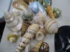 Parcel of small ornamental seashells etc