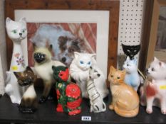 Collection of porcelain cats