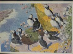C F TUNNICLIFFE limited edition print - puffins on a rockface, 36 x 48 cms