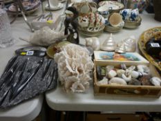 Mixed collection of stone fossils, carved hardstone ornaments with seashells and corals etc