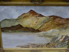 A VAUGHAN 1993 oil on canvas - possibly Snowdonia lake scene, 50 x 66 cms