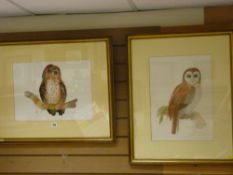 JANE WRIGHT '82 watercolours - studies of a Barn owl and a Tawny owl, 45 x 33 cms and 33 x 44 cms