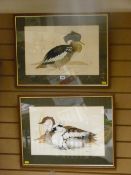 JANE WRIGHT '81 watercolours, a pair - studies of ducks, 31 x 46 cms