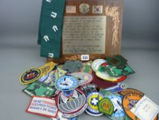 Military and similar themed lapel badges and a similar themed plaque