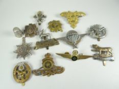 MILITARY COLLECTABLES to include Military badges, Royal Warwickshire, York and Lancaster, Cornwall