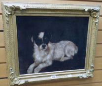 BRITISH SCHOOL FOLLOWER OF LANDSEER oil on canvas - portrait of a terrier, unsigned, 36 x 43cms (