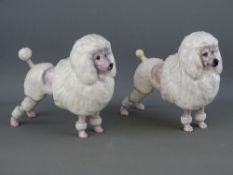 TWO ROYAL DOULTON FIGURES of French poodles, HN2631, 13.5 cms high, 16 cms long (one figure with