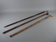THREE VINTAGE DOG HEAD WALKING CANES, to include a carved wood example, 88 cms long, a carved bone/