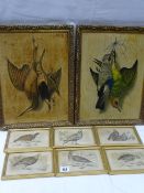 Six colour tinted gilt framed book plates of birds,12 x 18 cms overall and a pair of embossed images