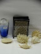 Selection of vintage seashells and coral, a modern desktop amuser and an art glass vase