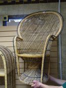 Pam Ayres peacock style wicker chair