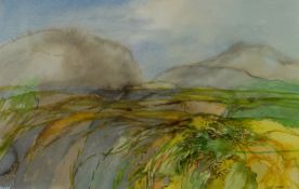 BERT ISAAC watercolour - landscape, entitled verso 'North Wales Hills', inscribed Royal Academy,