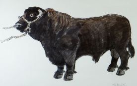 SIR KYFFIN WILLIAMS RA limited edition (7/75) coloured print - standing Welsh black bull, signed