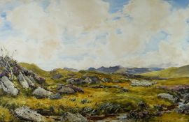 THOMAS COLLIER (1840-1891) watercolour - expansive view of Moelwynion mountain range in central